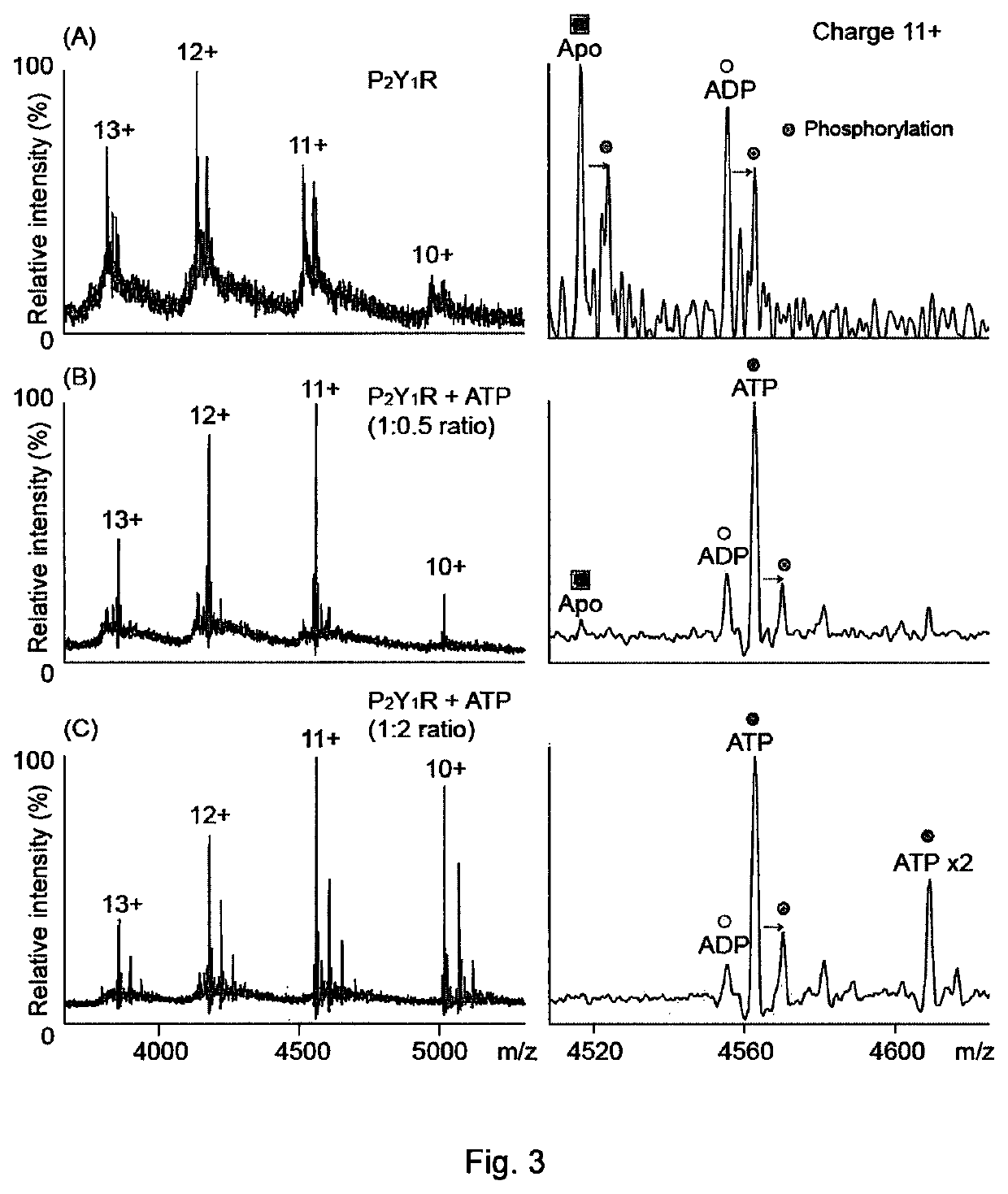 Detection of membrane proteins