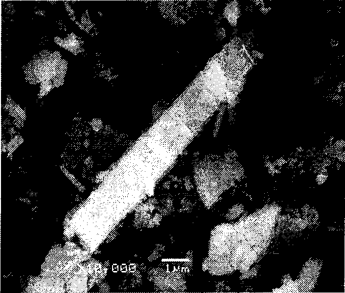 Catalyst for preparing acrylic acid and butyl ester using lactic acid method and preparation method thereof