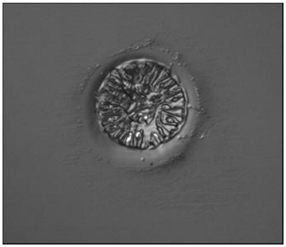 A kind of preparation method of soft-edge diaphragm resistant to laser damage