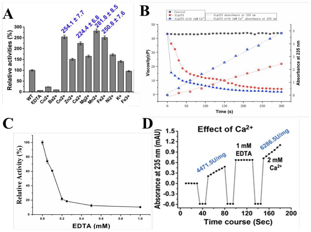 Alginate lyase mutant capable of relieving dependence of divalent metal ions and application of alginate lyase mutant