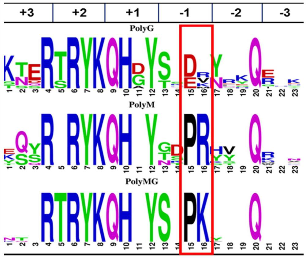 Alginate lyase mutant capable of relieving dependence of divalent metal ions and application of alginate lyase mutant