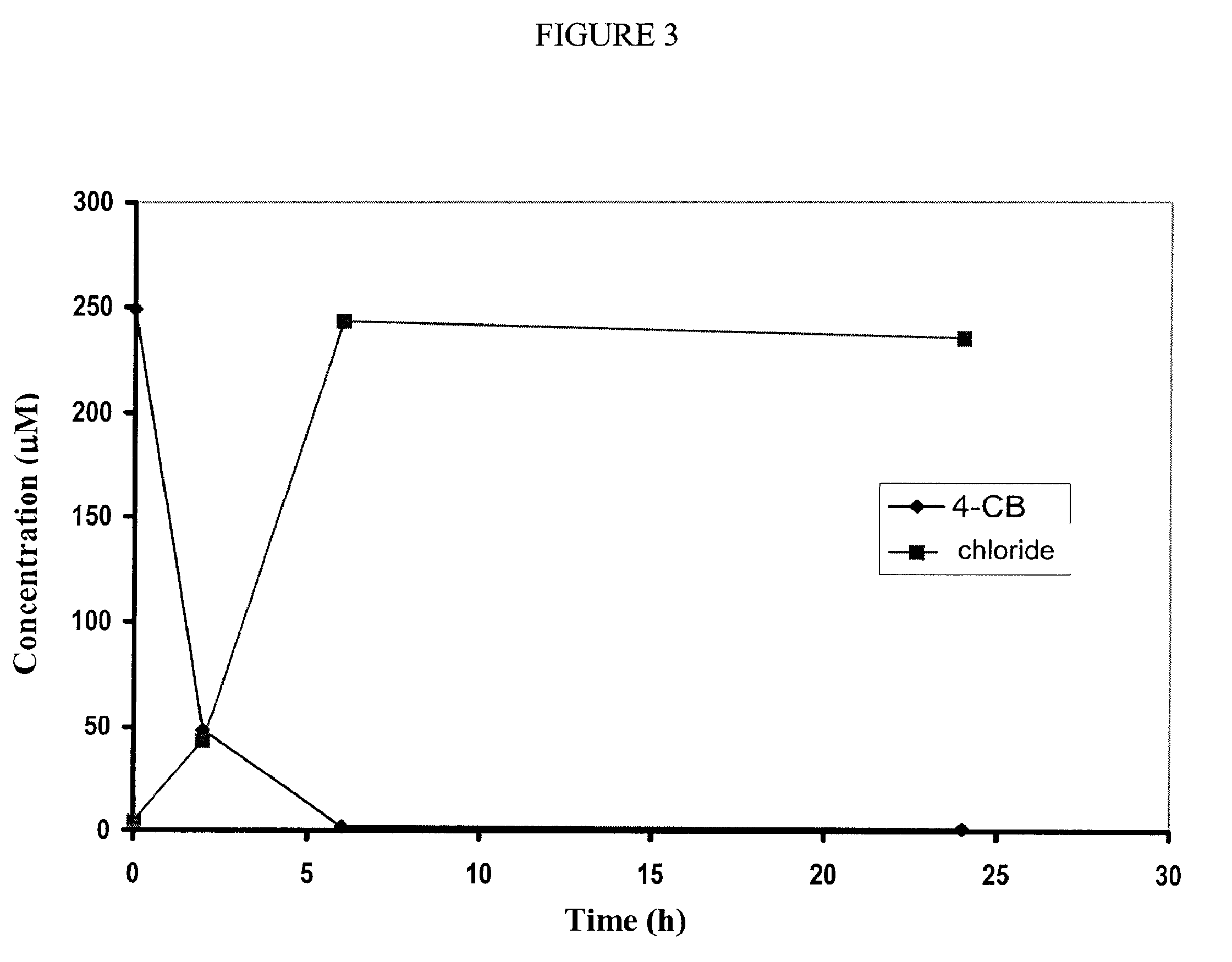 PCB-degrading recombinant bacterium, product for the bioremediation and method of bioremediation