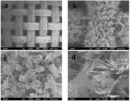 Preparation method of oil-water separation net membrane with super-hydrophilic lipophobicity