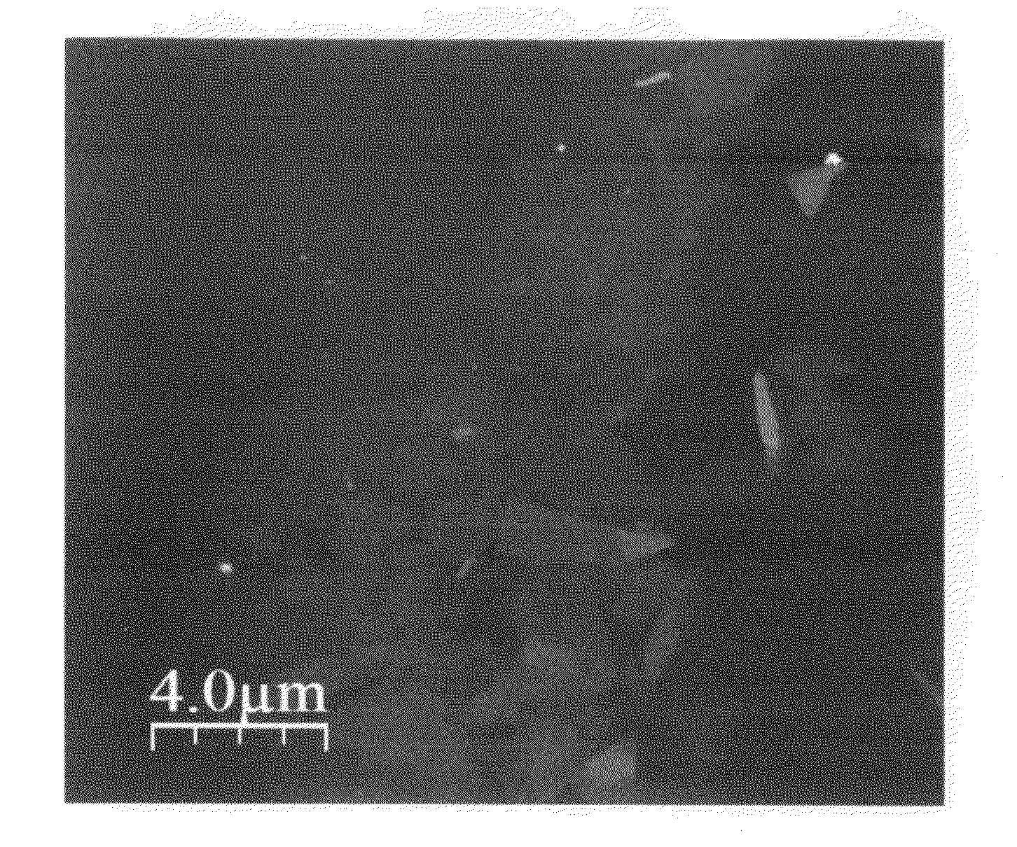 Method of exfoliating and functionalizing graphite anode