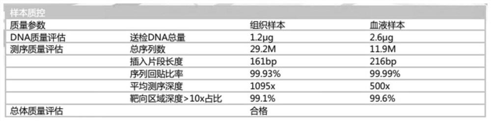 Gene panel for nervous system tumor detection, kit and application thereof