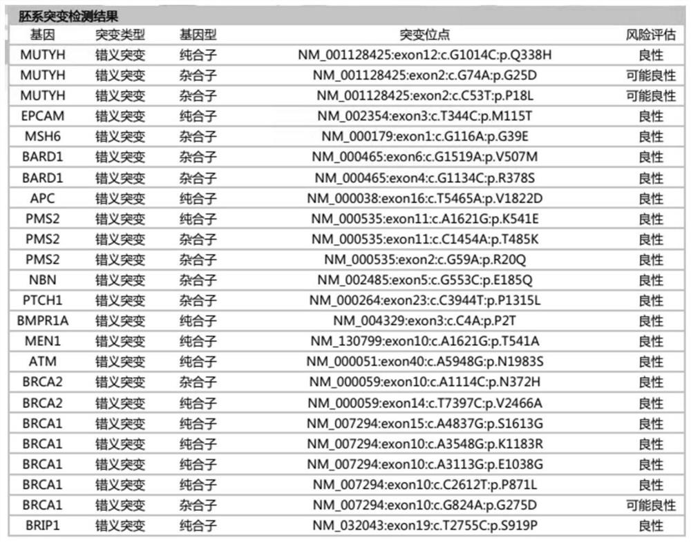 Gene panel for nervous system tumor detection, kit and application thereof