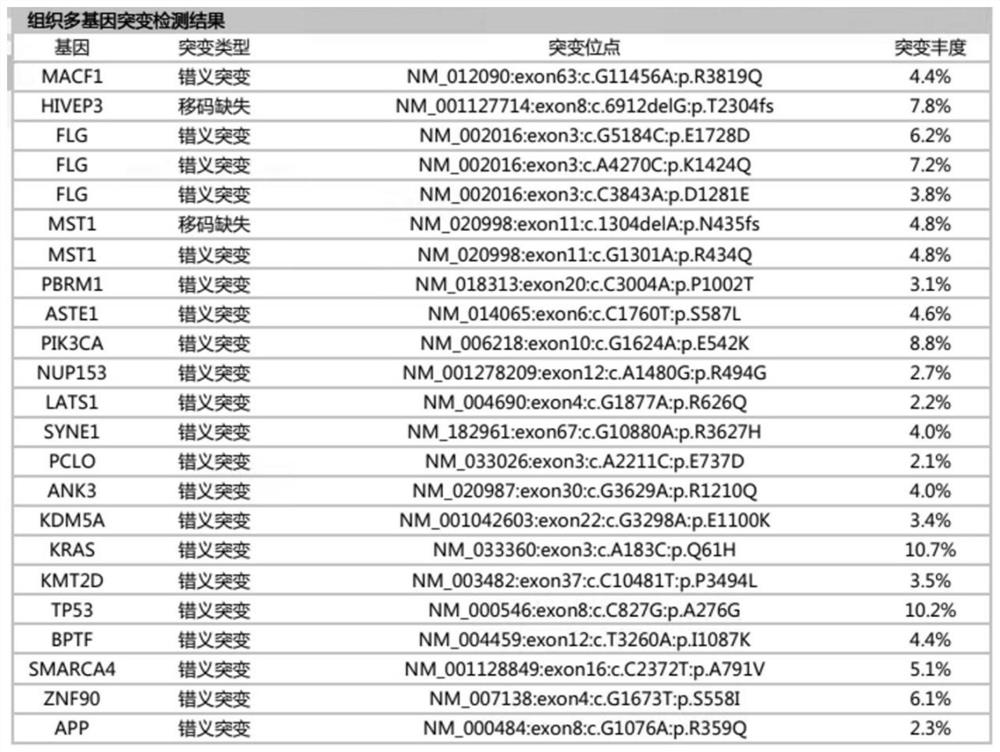 Gene panel for nervous system tumor detection, kit and application thereof