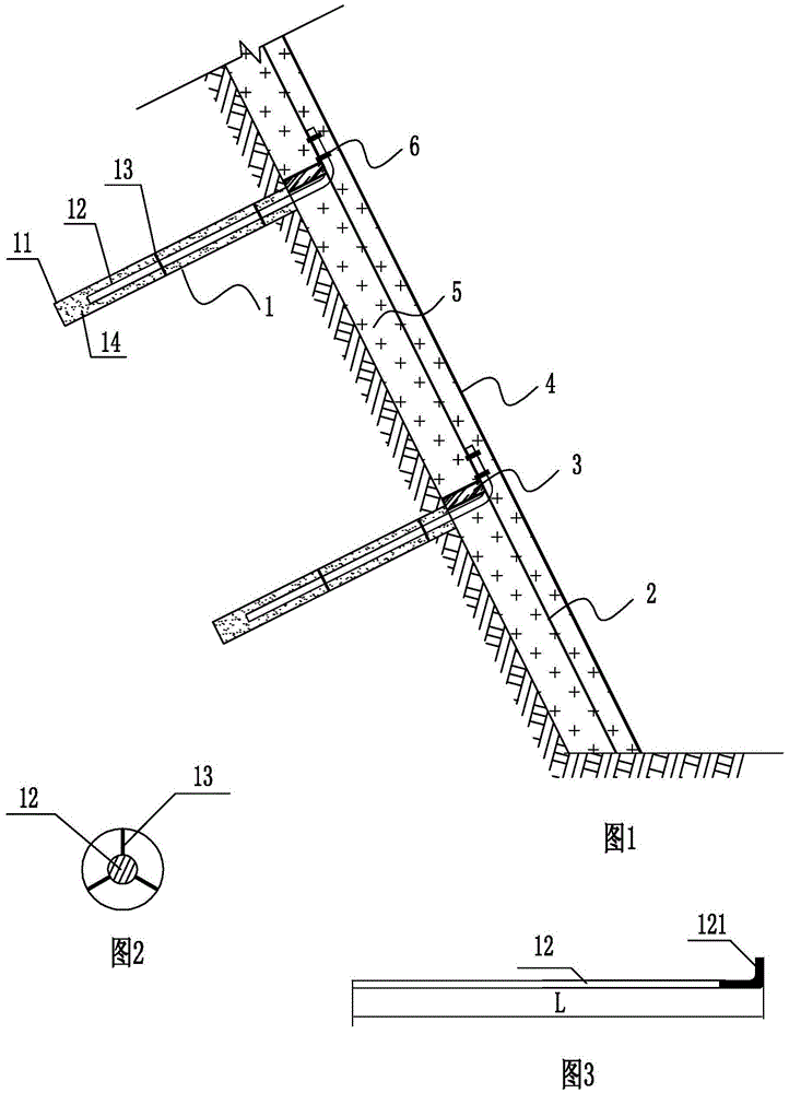 Soil nail grass-planting high abrupt slope protecting structural system and construction method thereof