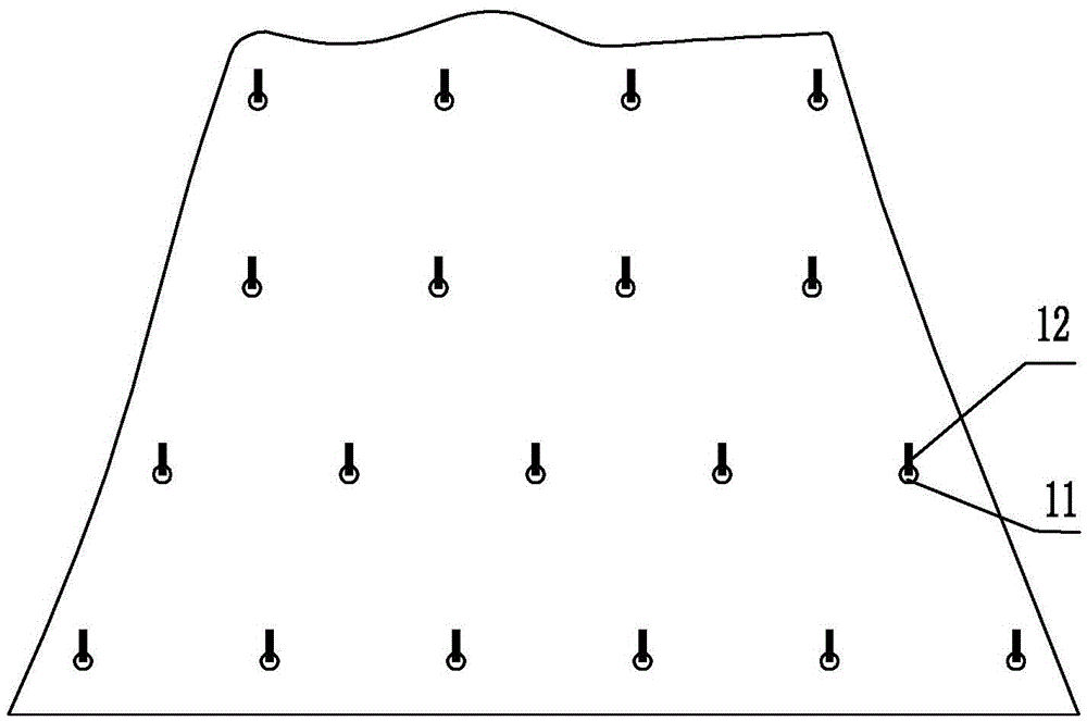 Soil nail grass-planting high abrupt slope protecting structural system and construction method thereof