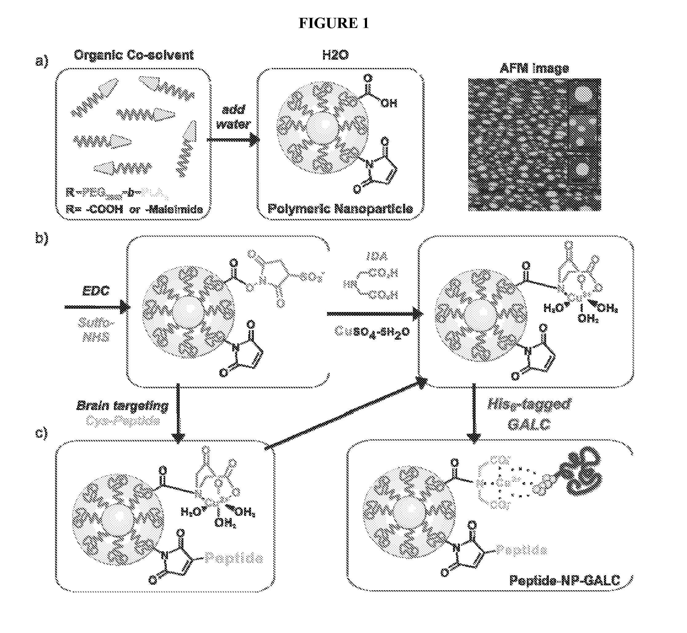 Methods and materials for delivering molecules