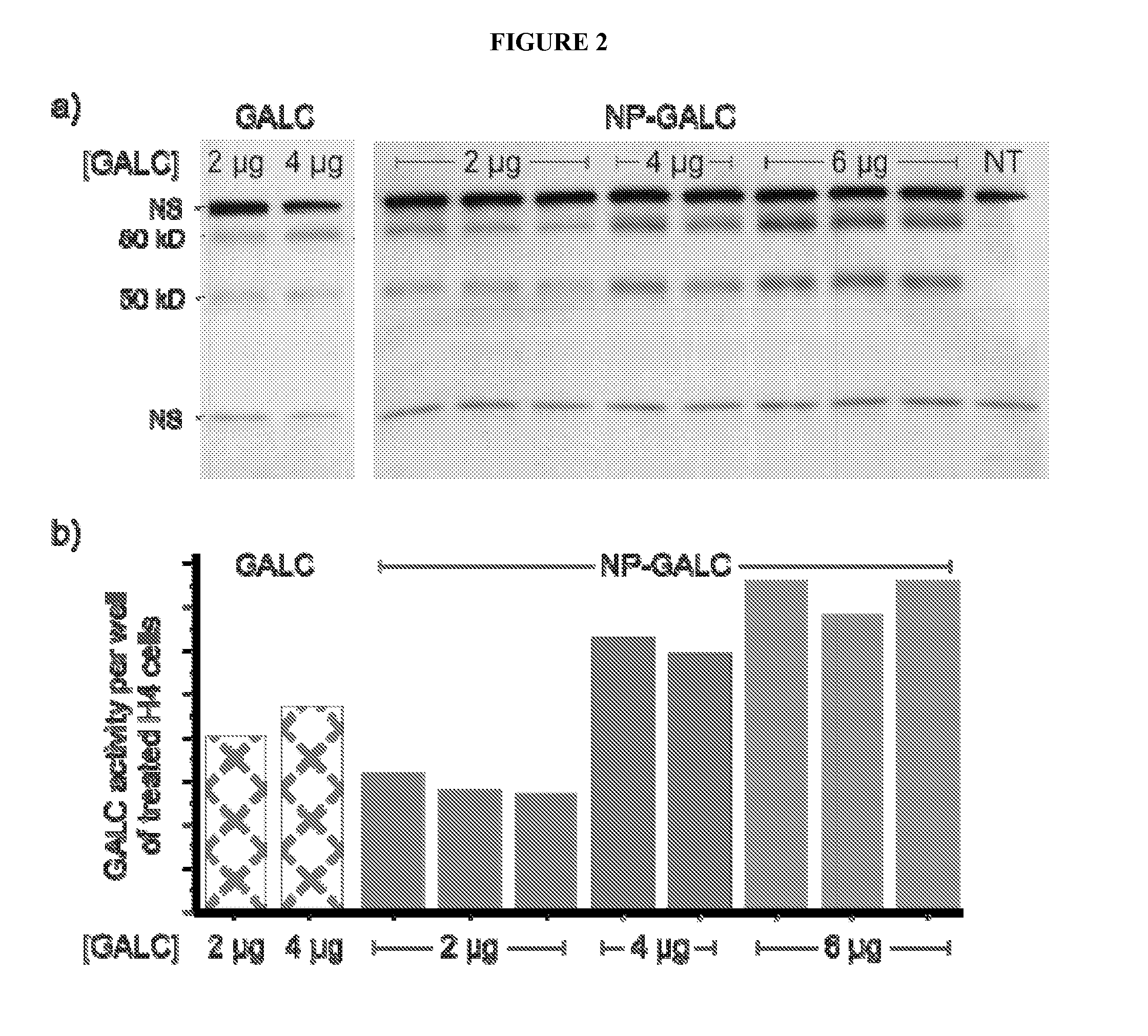 Methods and materials for delivering molecules