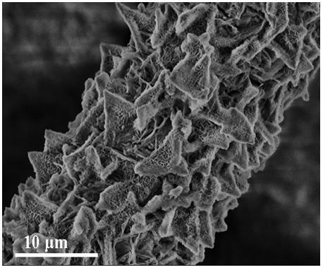 Preparation method and application of an aqueous high-voltage electrode material