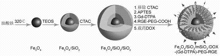 Tumor-targeted multi-purpose nanometer drug delivery system as well as preparation method and applications thereof