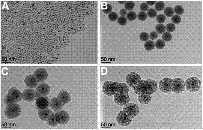 Tumor-targeted multi-purpose nanometer drug delivery system as well as preparation method and applications thereof