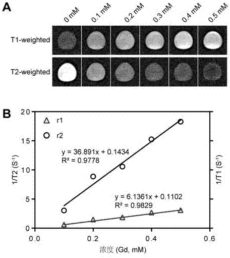 Tumor-targeted multi-purpose nanometer drug delivery system as well as preparation method and applications thereof