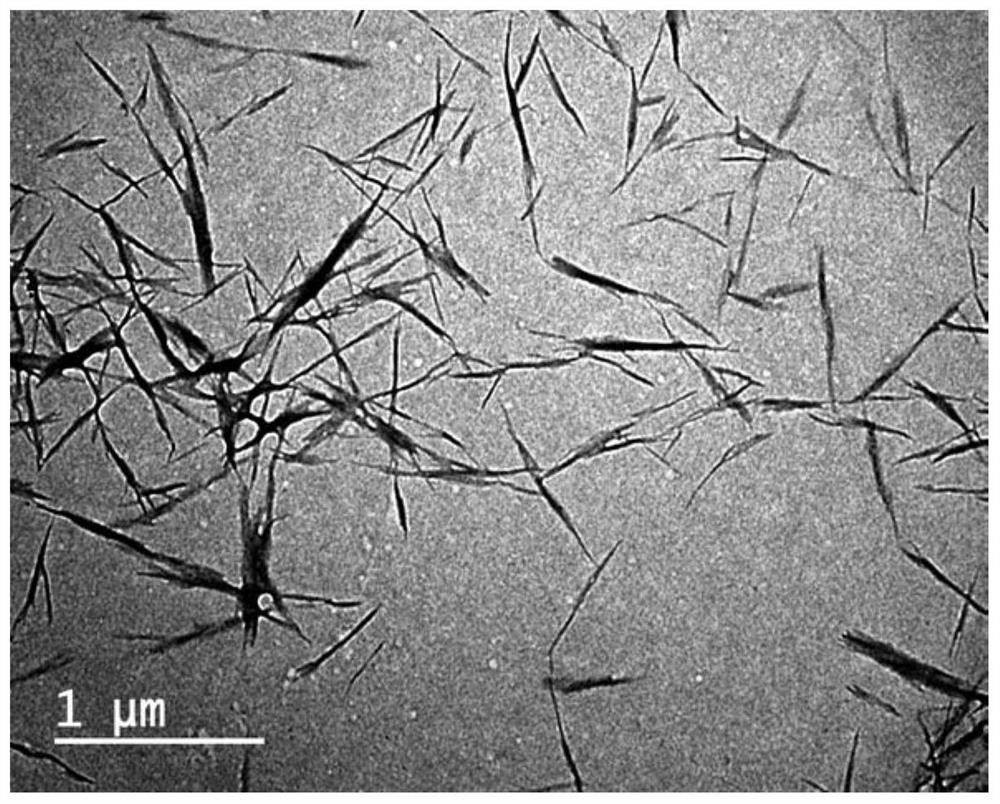 A kind of high-strength chitin composite hydrogel material and its preparation method and application