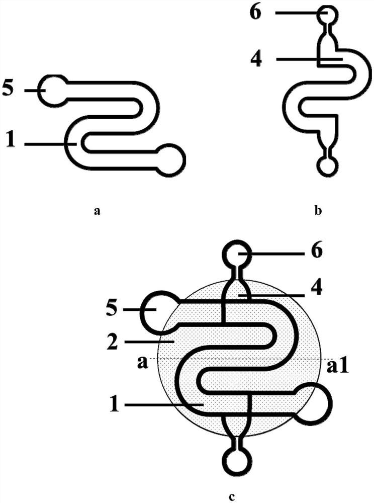 A method for constructing a bionic intestinal model based on microfluidic technology