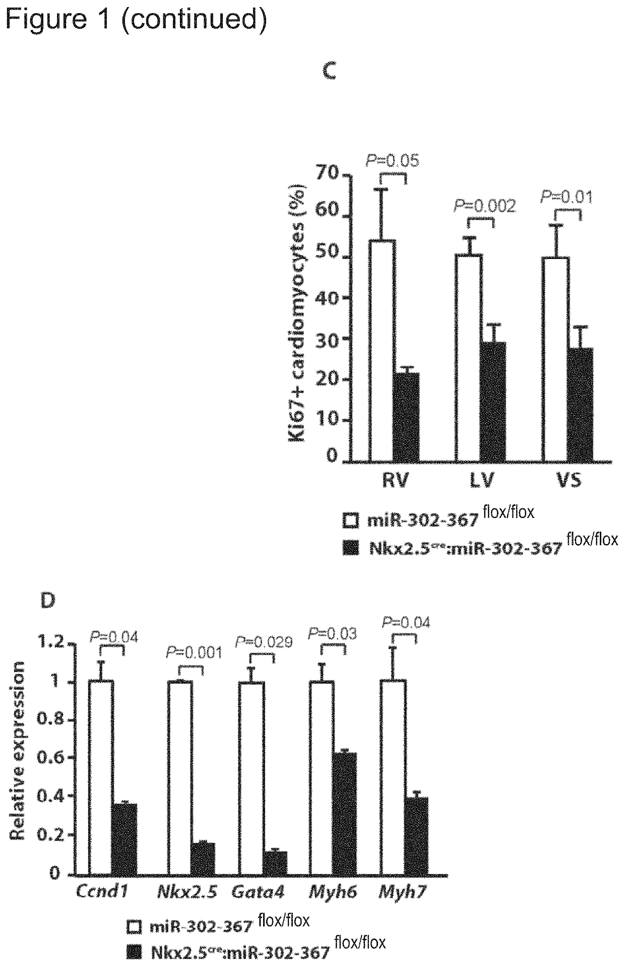 MicroRNA induction of cardiac regeneration