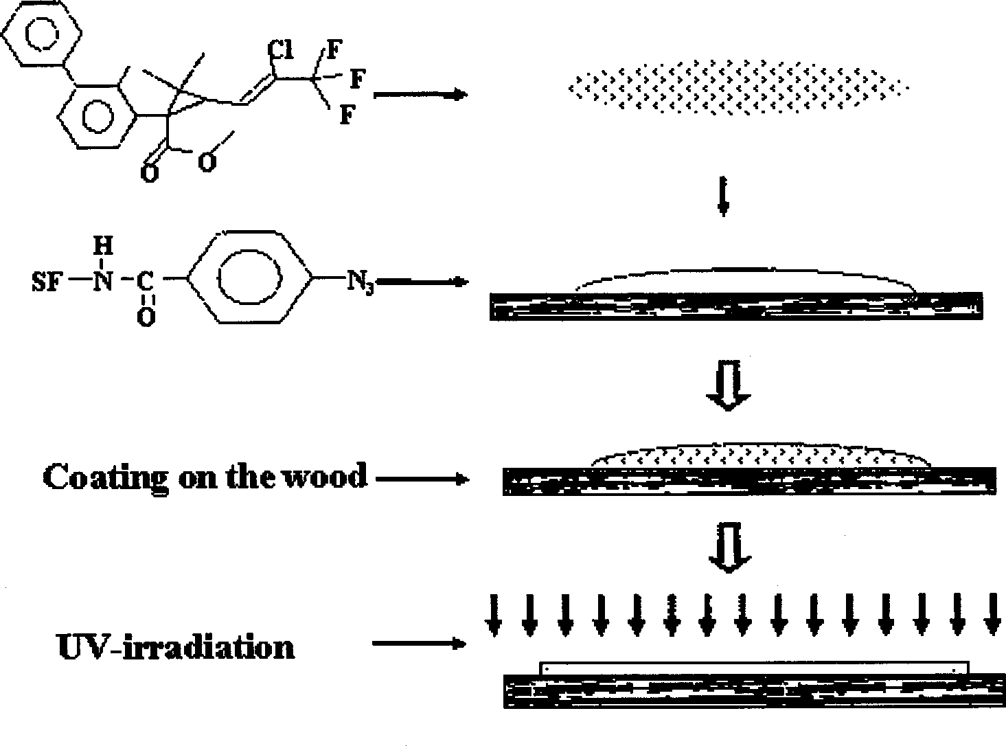 SF-embedded termite drug and preparation method and application thereof