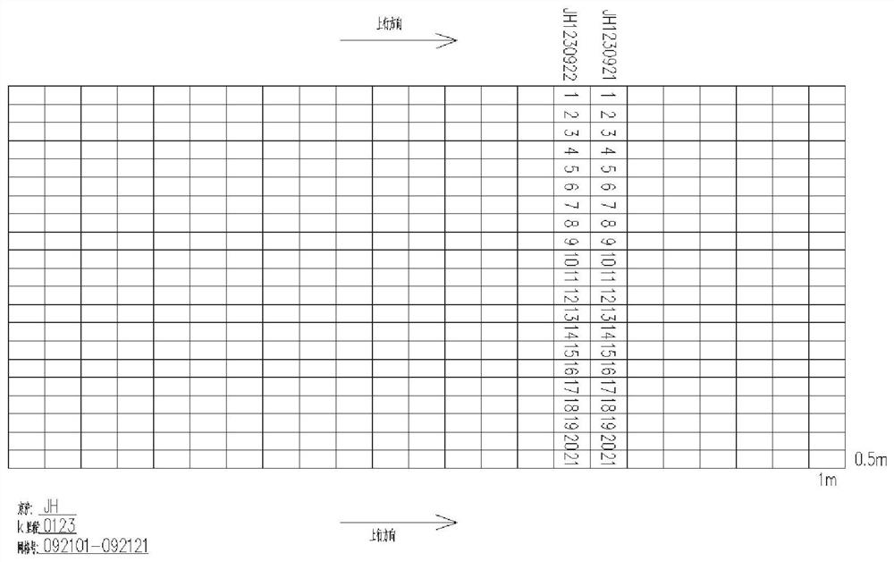 Automatic driving flexible track road surface monitoring system and signal scanning method