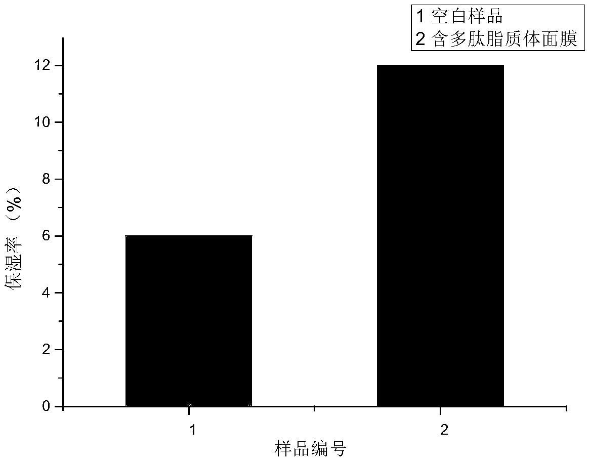 Dry space wet space separated facial mask, and preparation method and applications thereof