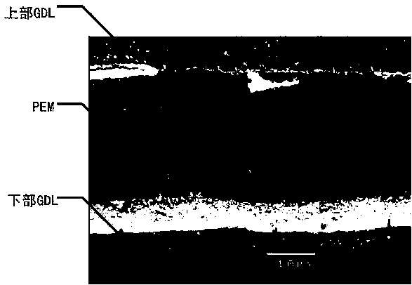 Ultrasonic spot welding system for membrane electrode assembly of fuel cell