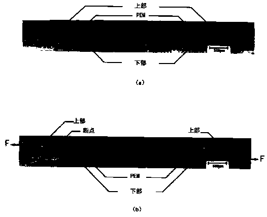 Ultrasonic spot welding system for membrane electrode assembly of fuel cell