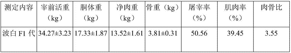 Cultivation method of novel Guizhou white goat hybrid strain