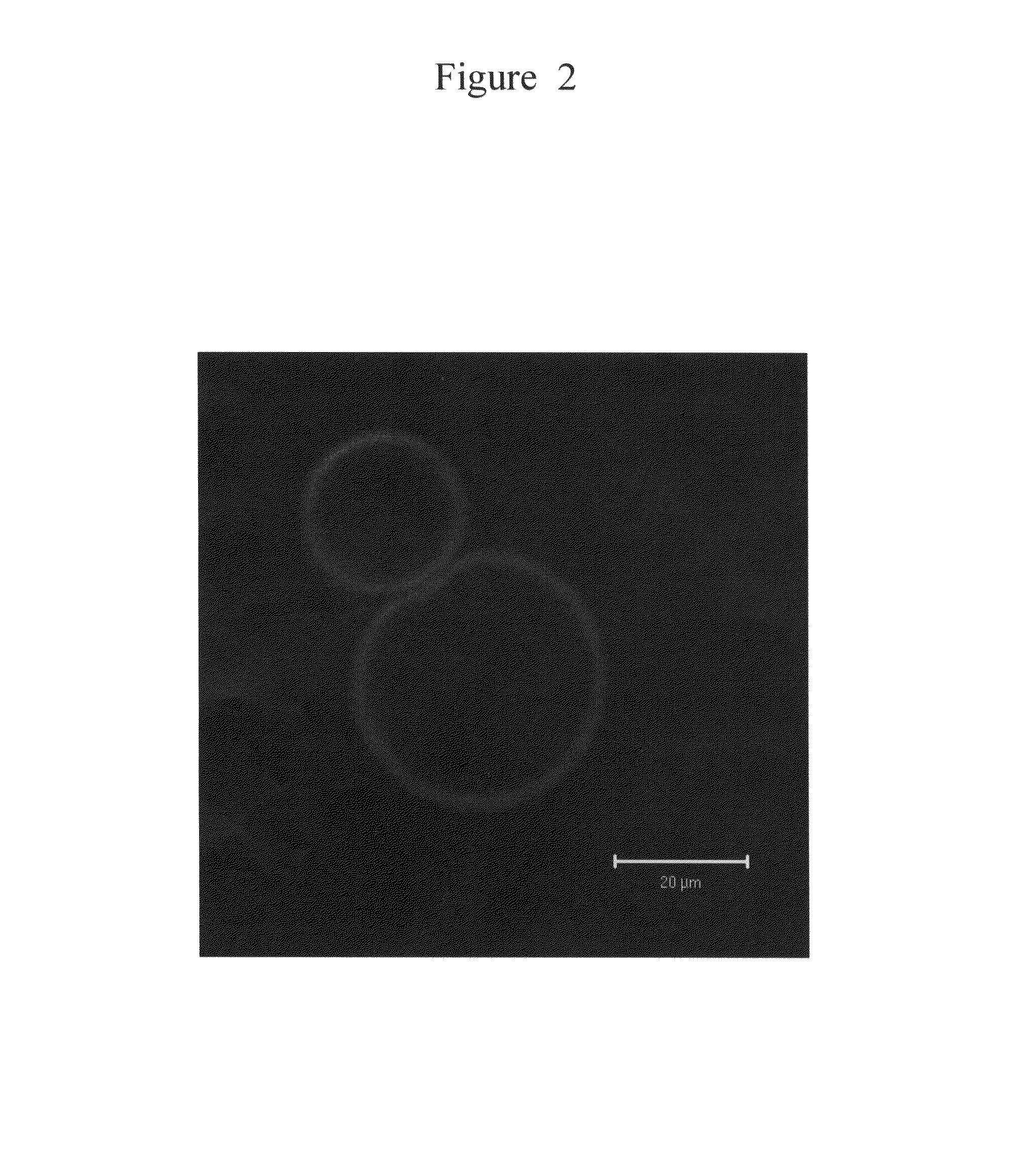 Liposome and method for injecting substance to cell using this liposome