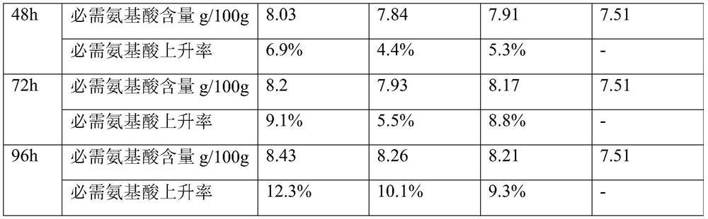 Rhizopus oligosporus,bean dreg fermented product and preparation method of bean dreg fermented product