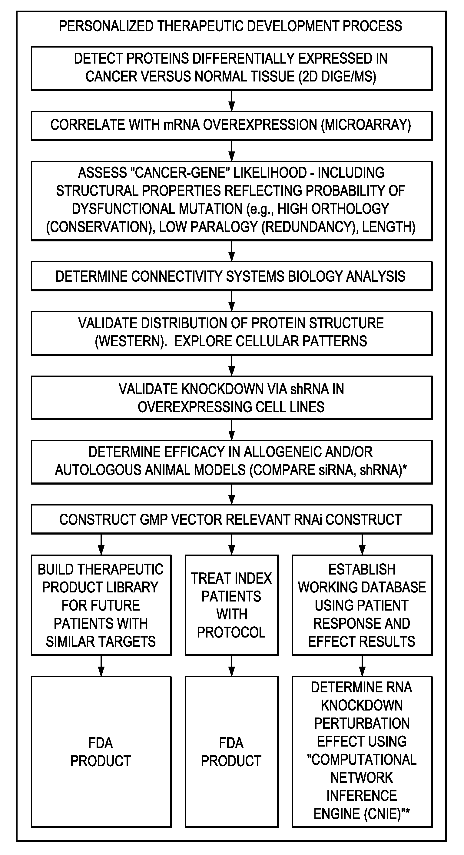 Individualized cancer therapy