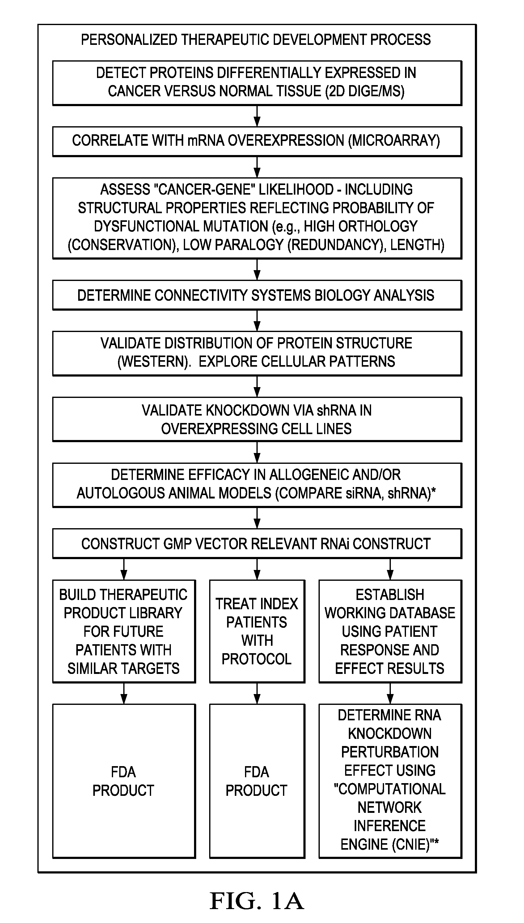 Individualized cancer therapy