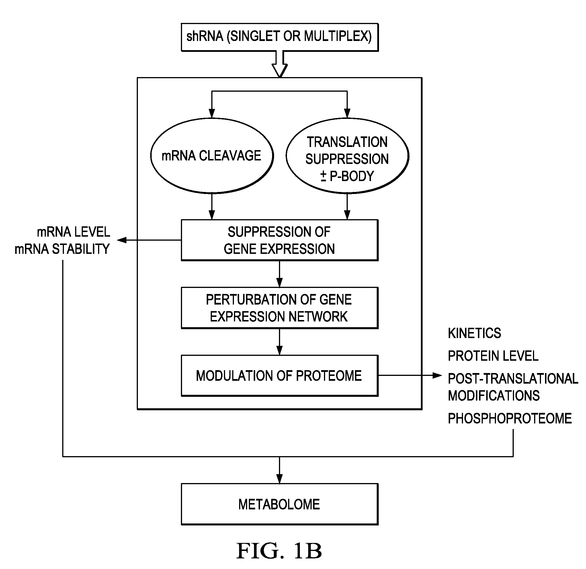 Individualized cancer therapy