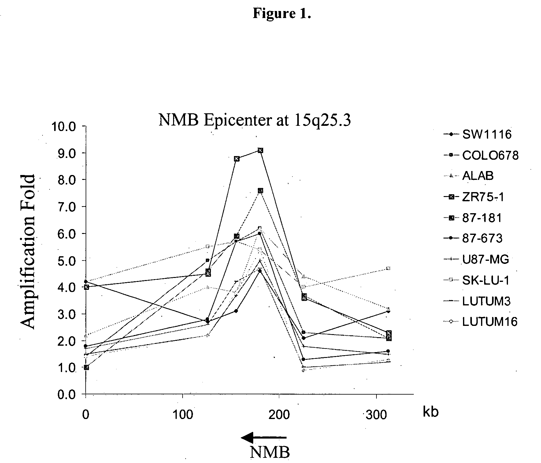 Amplification and overexpression of oncogenes