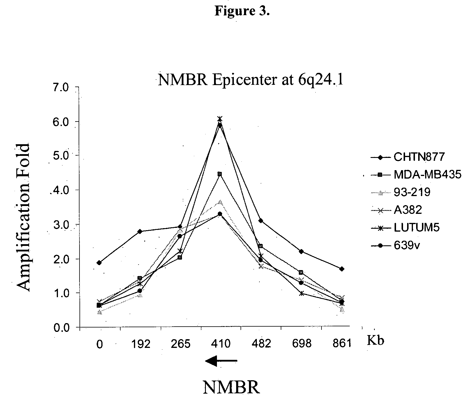 Amplification and overexpression of oncogenes