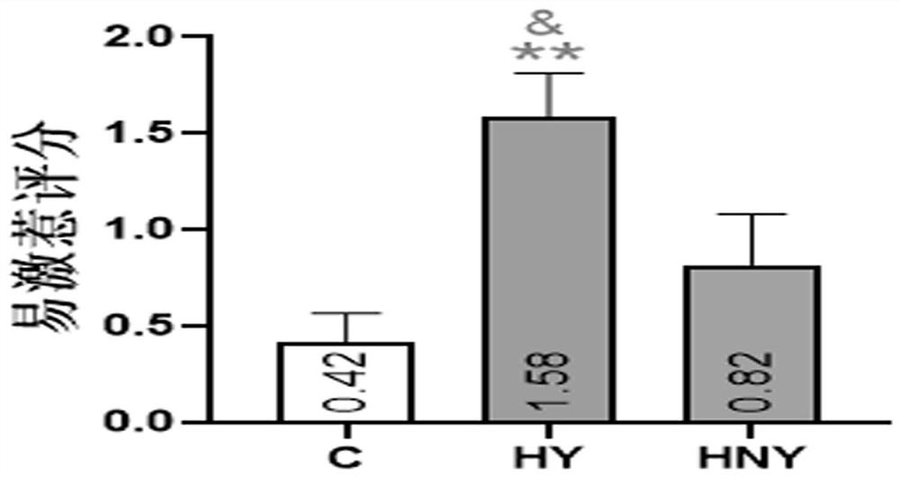 Method for establishing hypertension yin-deficiency syndrome and/or hypertension non-yin-deficiency syndrome animal model by coprophilous fungus transplantation method, evaluation and application