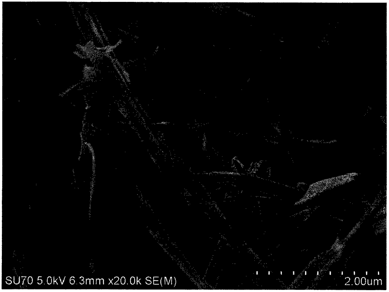 Copper metal organic framework mimic enzyme material as well as preparation and application thereof