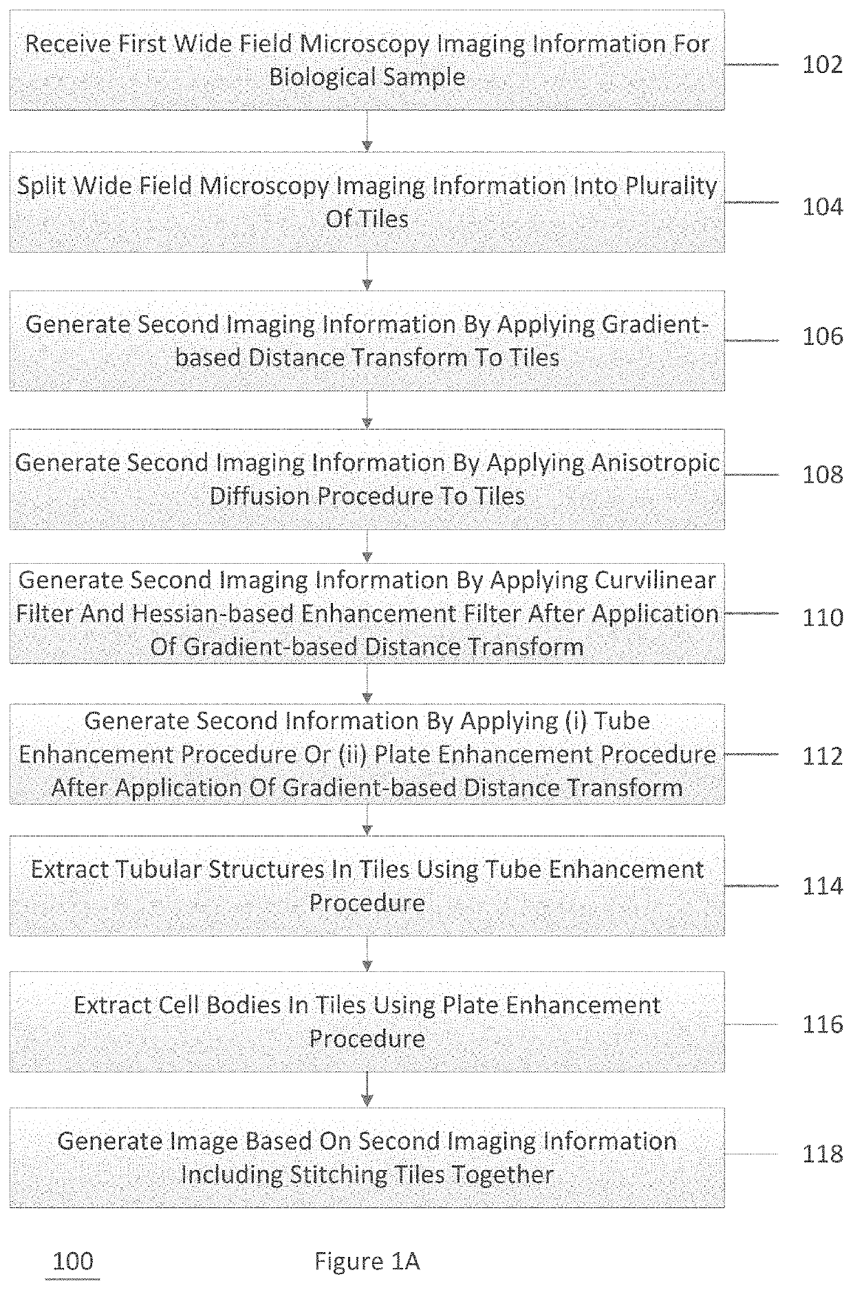 System, method, and computer-accessible medium for processing brain images and extracting neuronal structures