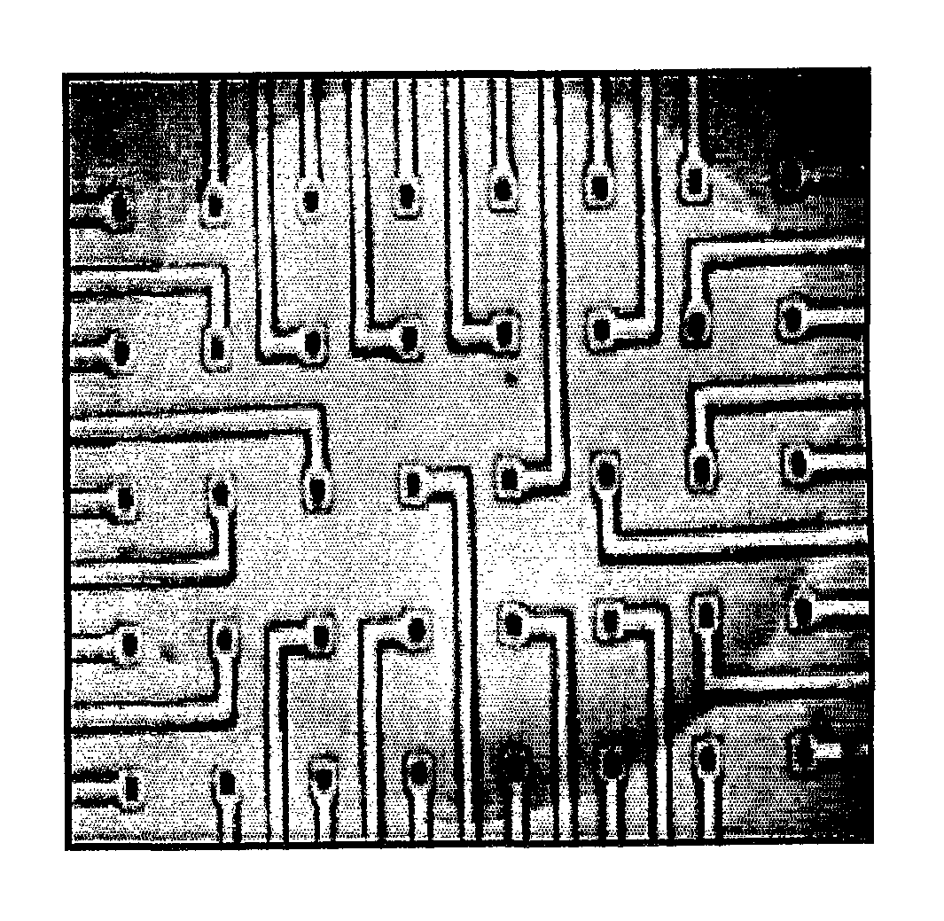 Method of Producing Organotypic Cell Cultures