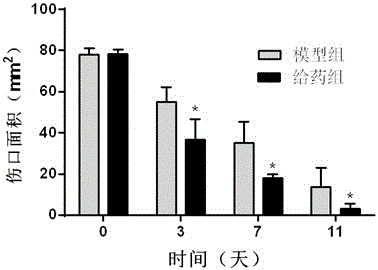 Traditional Chinese medicine composition for promoting healing of diabetic wounds