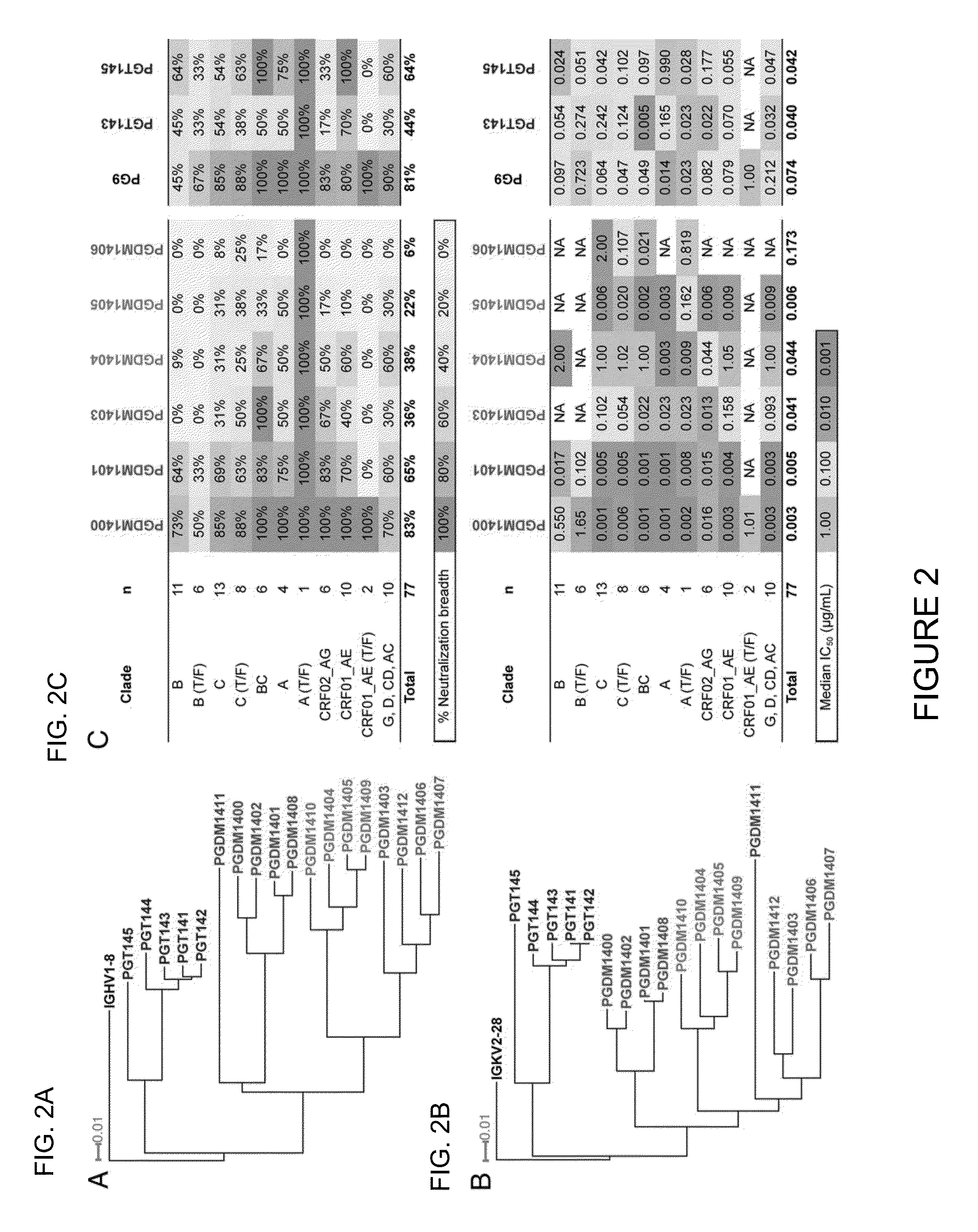 Broadly neutralizing antibody and uses thereof