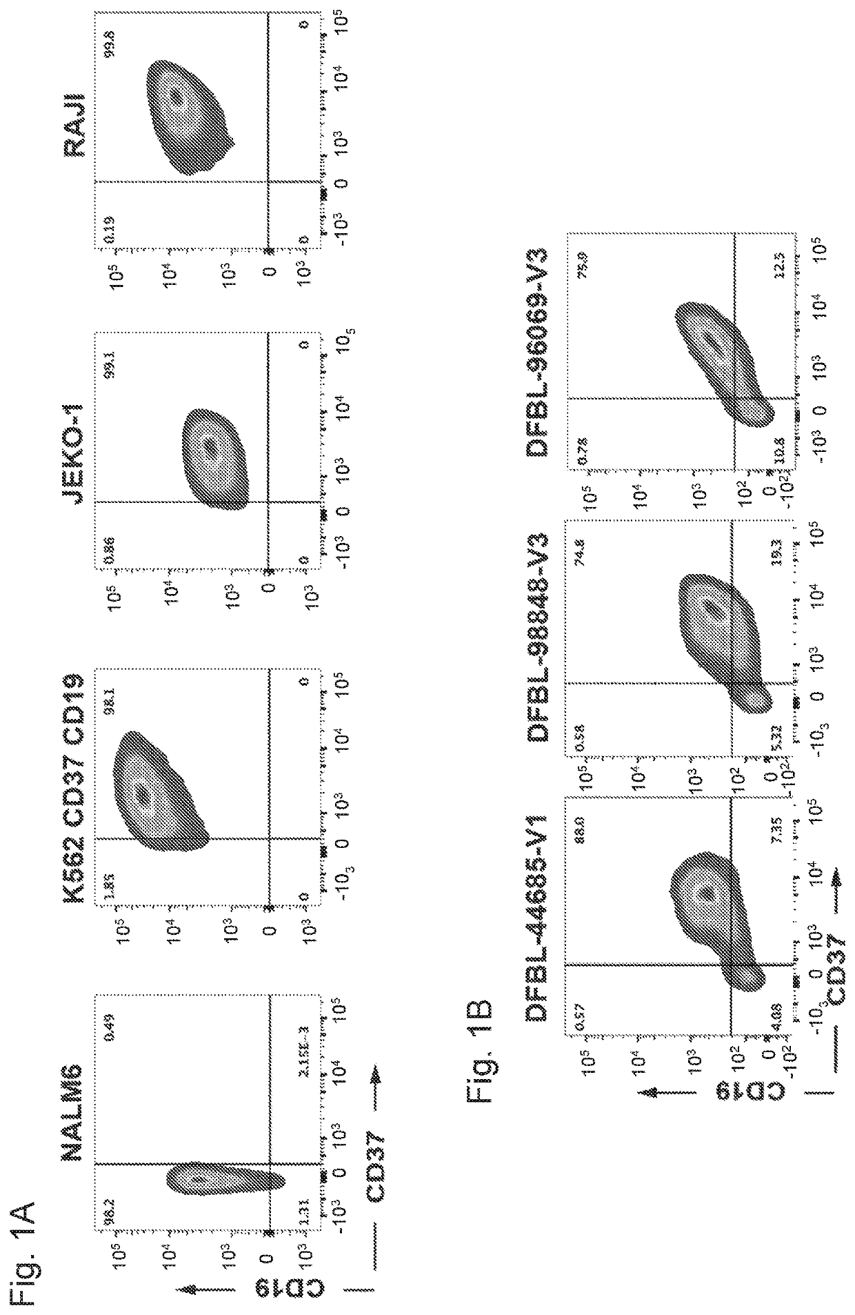 Chimeric antigen receptors targeting cd37 and cd19