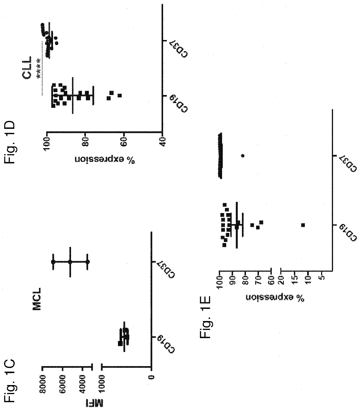 Chimeric antigen receptors targeting cd37 and cd19