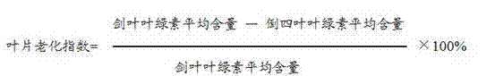 Rice variety selecting method for measuring rice root activity by utilizing chlorophyll content