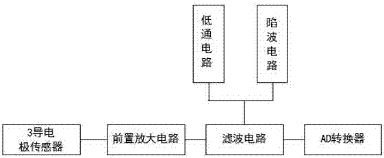 Electroencephalogram-based polygraph system