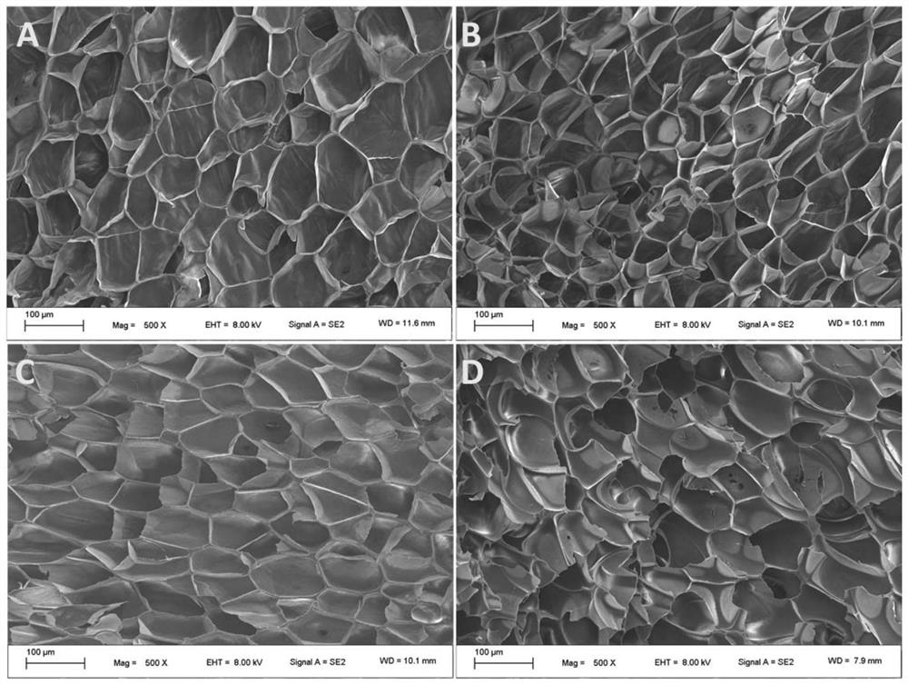 Radiation cross-linked polypropylene foam material, preparation method and application thereof