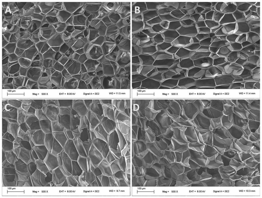 Radiation cross-linked polypropylene foam material, preparation method and application thereof