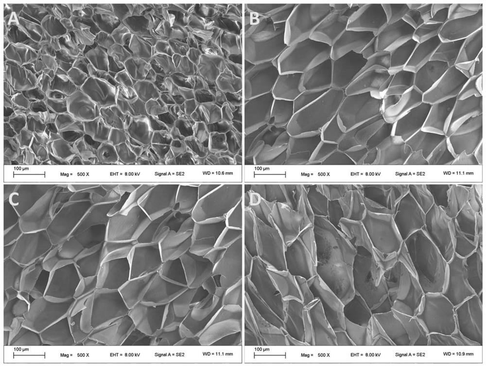 Radiation cross-linked polypropylene foam material, preparation method and application thereof