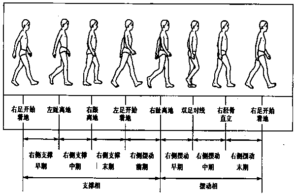 Intelligent rehabilitation training ladder detection system and detection method