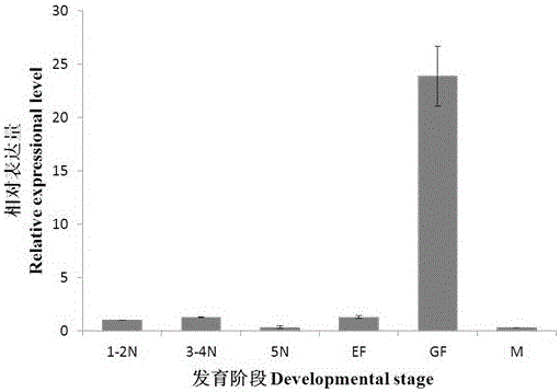 nlpik3r1 gene, encoded protein and its application related to the survival, growth and development of brown planthopper